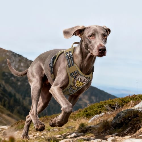 Tactical Dog Harness for Large Dogs (L(Chest:22"-37",Neck:21.1"-30.3",Back:8.3") / Desert Camo)