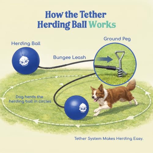 22" Herding Ball for Dogs Tetherball Set Outside (Ocean - 22" Tether Ball / Tether)