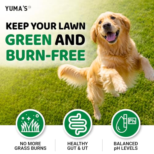 Dog Urine Neutralizer for Lawn (Green Lawn + Probiotic / 170 Chews)