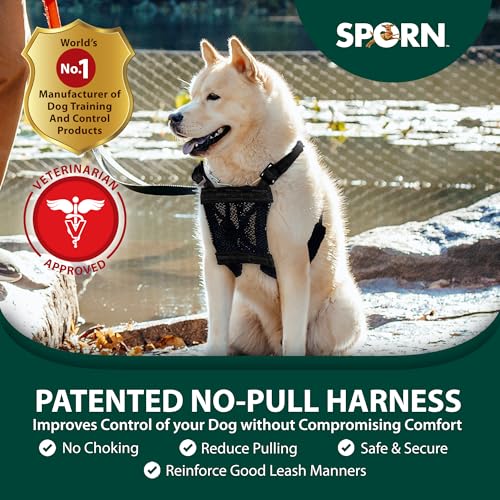 No Pull Dog Harness (Large/X-Large / Black)