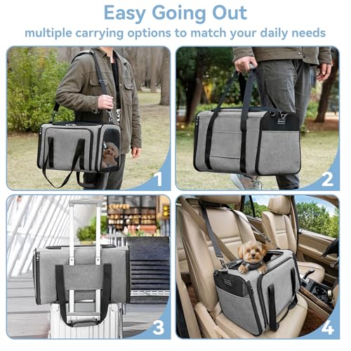 19"X12" X12" Expandable Pet Carrier (19.0"L x 12.0"W x 12.0"H / Gray)
