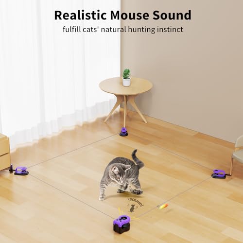 Interactive Cat Toy for Indoor Cats Chase (Elegant Purple)