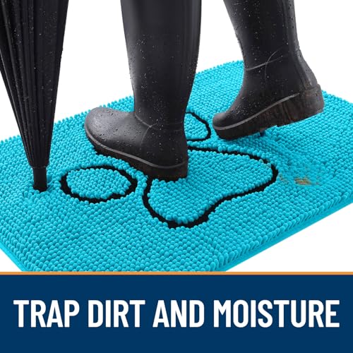 Dog Door Mat for Muddy Paws 30x20 (Aqua Blue / 30" X 20")