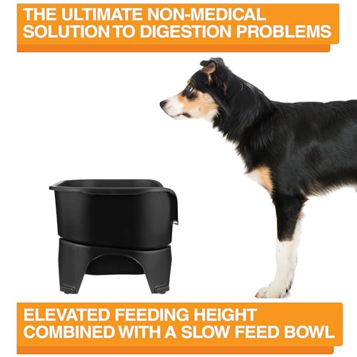 Express Model w (Medium to Large w/ Metal Slow Feed Bowl / Midnight Black)