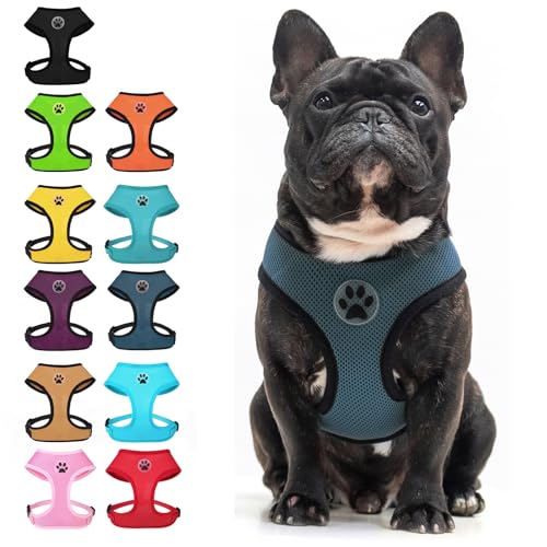 Small Dog Harness (L (NECK: 17", CHEST: 18.8"-24") / Navy Blue)