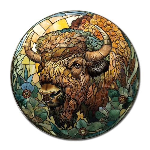 Aluminum Circular Metal Sign American Bison 12x12 Inches Rustic Modern Style for Office (12×12 Inches / American Bison-1)