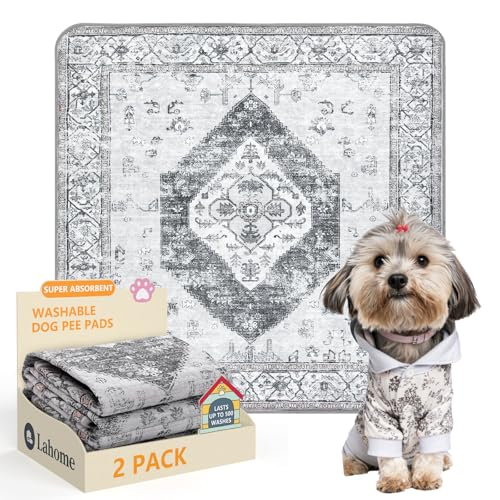 Super Absorbent Washable Pee Pads for Dogs (Gray / 3FT x 3FT (Pack of 2))