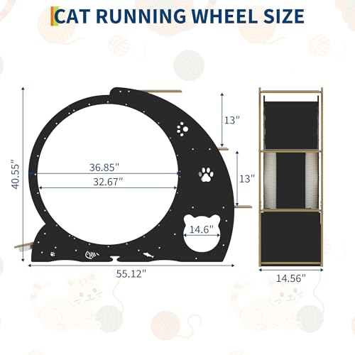 55" Multi Cat Exercise Wheel with 3
