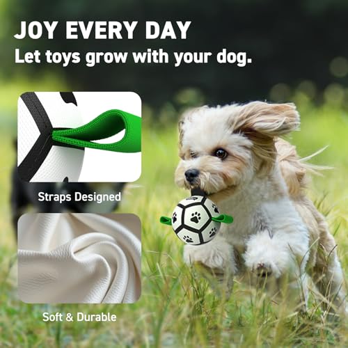 Small Dog Toys (Green-Black / Extra Small Size 0 (3.5 Inch))