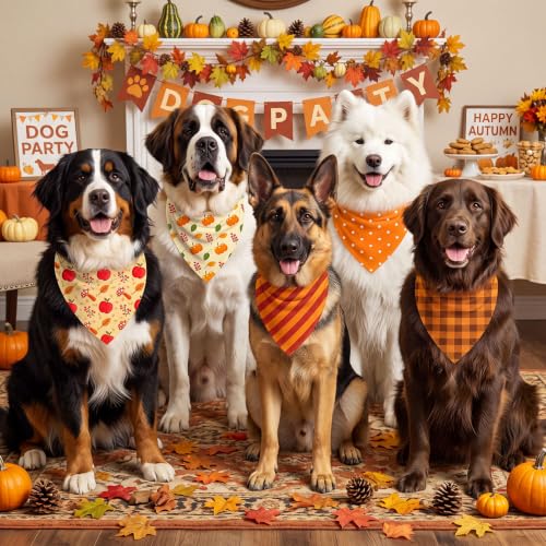 50 Pcs Fall Dog Bandanas Bulk Autumn Pumpkin Maple Leaves Pattern (31.5 x 21.7 x 21.7 Inch / Fall)