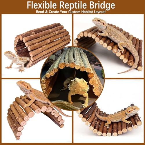 18.89"x 12.99" Reptile Hideout Wooden Bridge Lizard Hide Caves Bearded Dragon Habitat Accessories for Gecko Snake Frog Chameleon Iguana Tortoise