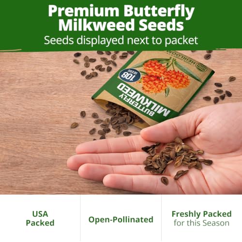 Milkweed Butterfly Seeds