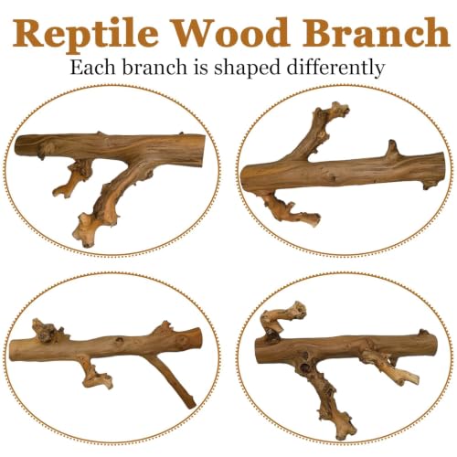 2PCS Snake Climbing Branch (Polished Reptile Climbing Wood)