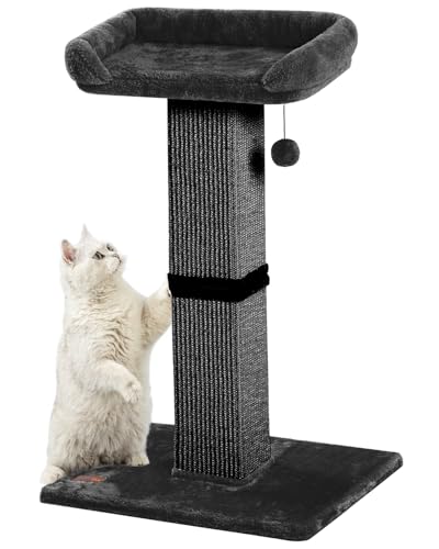 32" Cat Scratching Post with Perch for Indoor Cats Adults (Black)