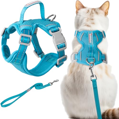 Cat Harness and Leash Set Escape Proof for Kitten Walking (Small / Blue)