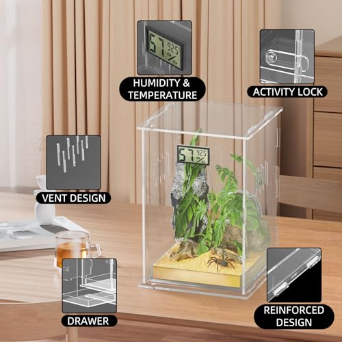 Reptile Terrariums (Arboreal--L (Tray))