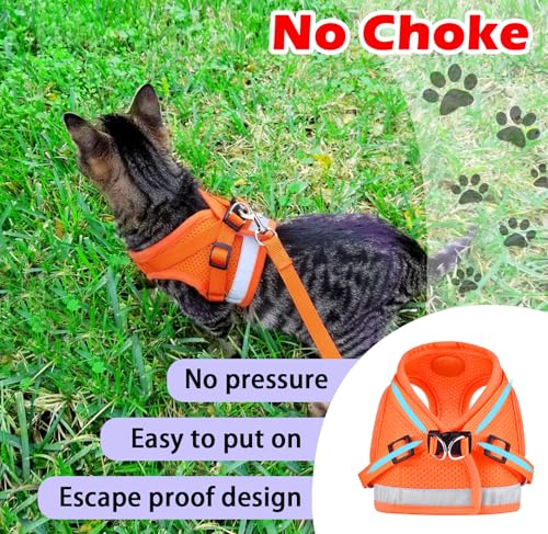 Cat Harness and Leash Set (M (Chest: 12" - 14") / Orange)