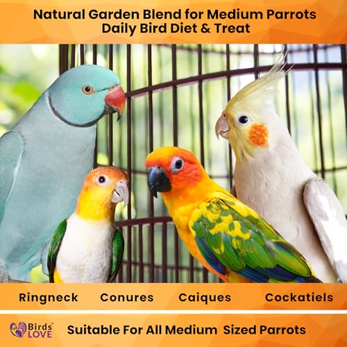 All Natural Garden Blend Bird Food for Medium Birds (2 Pound (Pack of 1))