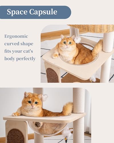 31.8" Cat Tree Tower (S81D)