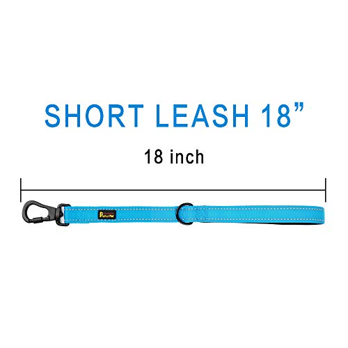 Short Training Dog Leash with Padded Handle for Medium Large Big Dogs (Blue / 18 Inch (Pack of 1))