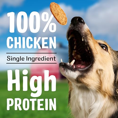 Bark'n Crunch! Chicken Chips (15 Ounce (Pack of 1))