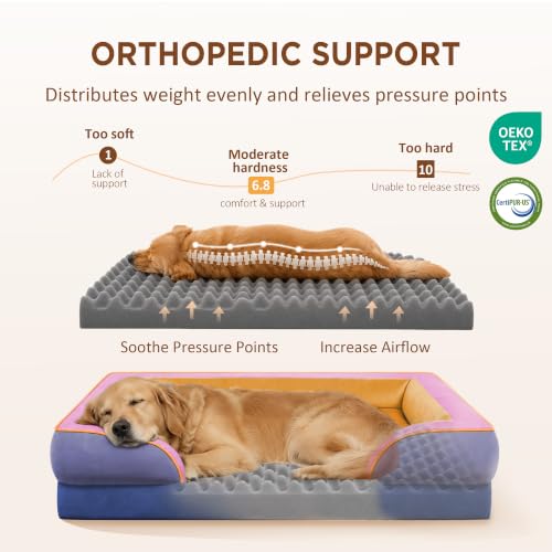 Orthopedic Dog Bed for Extra Large Dogs with Bolster (42.0"L x 30.0"W x 8.5"Th / Orange Breeze)