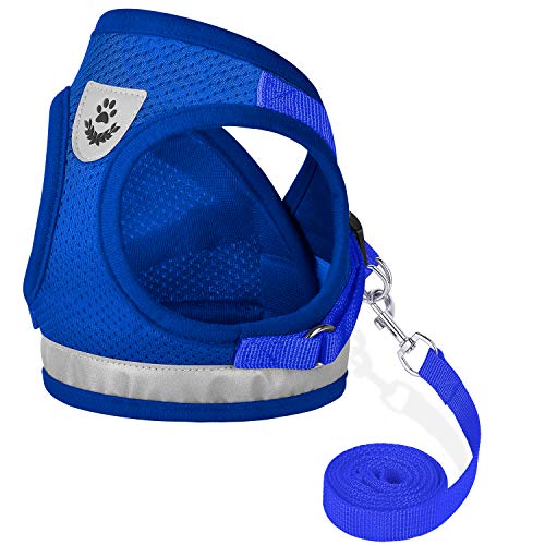 Cat Harness and Leash Set (XS (Chest: 6" - 8") / Blue)