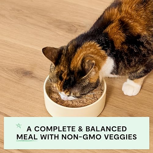 Wet Kitten Food (2.8 Ounce (Pack of 18))