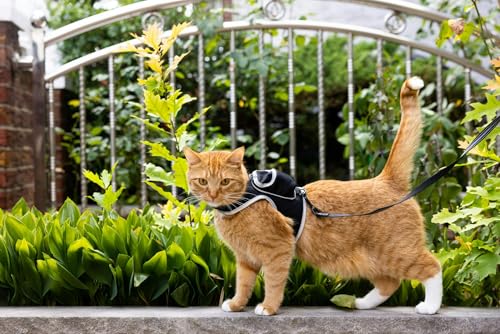 Travel Cat & Stray Cat Harness and Leash Set (LARGE: 13-16 IN)