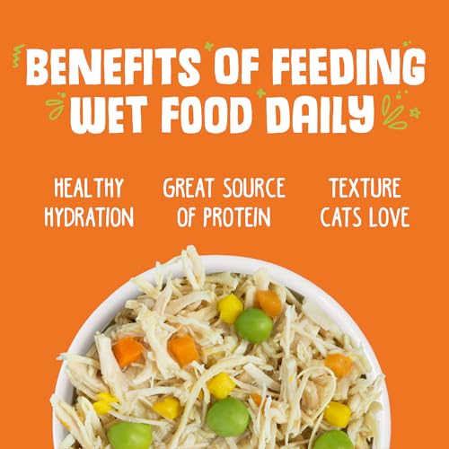 Wet Cat Food Pumpkin Patch Pack Variety Pack (3 Ounce (Pack of 12))
