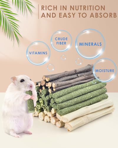60PCS Rabbit Chew Sticks