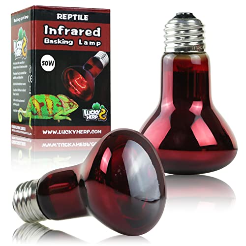 50W Reptile Heat Lamp Bulbs 2 Pack (Infrared Basking Light Bulb / 50 Watts)
