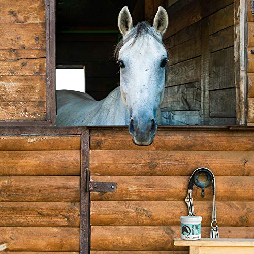 Trouble Spot Drying Paste for Horses (10 Oz)