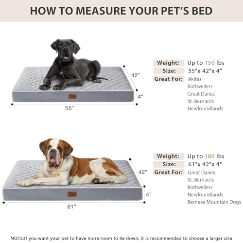 Orthopedic XXL Dog Beds for Large Senior Dog Bed Comfy Sleeping (Light Grey / 55"L x 42"W x 4"Th)