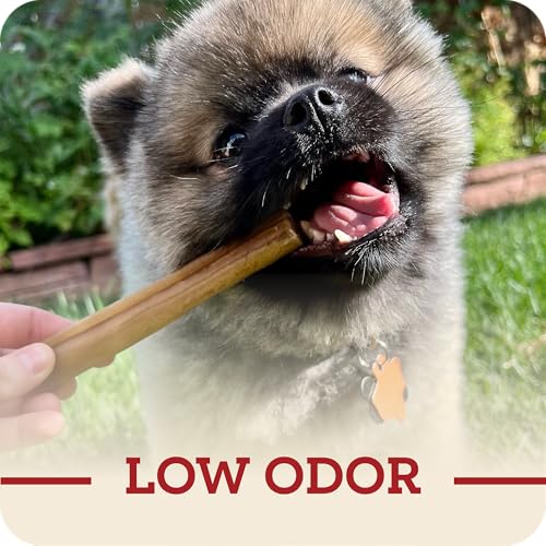 Redbarn Small Collagen Sticks 100% Natural Beef Dog Chew (Small / 1 Count (Pack of 5))