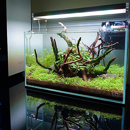 Controsoil Freshwater Aqua Soil Substrate for Fish (3 Liters (2.7 kg) / Brown - Normal)