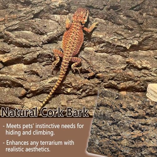1PCS 15.7"x11.8" Natural Thickened Reptile Cork Bark Terrarium Background (1PCS - L：15.7" x 11.8")
