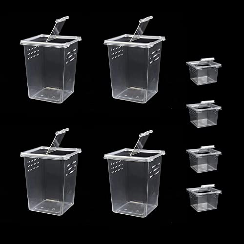 Small Reptile breeding Box Spider Terrarium freeding Box for arboreal Tarantula Scorpion Sling Lizards Mantis Jumping Spider Snail Insect Isopods Terrariums Breeding Box