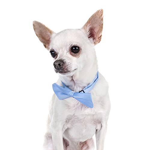 Dog Collar Bowties (Small)