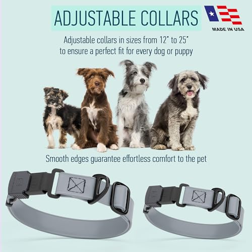 Biothane Waterproof Dog Collar with Herm Sprenger Stainless Steel Quick Release Buckle (W 3/4" x L 12"-19" / Battleship Gray)