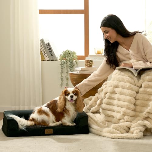 Orthopedic Dog Bed for Medium Small Size Dogs (Black / M:30x20x6.5 inch)
