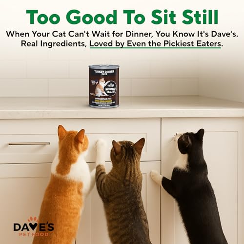 Grain Free Wet Canned Cat Food (12.5 Ounce (Pack of 12))