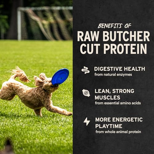 Freeze Dried Raw Duck Hearts Dog Treats (3.5 Ounce (Pack of 1))