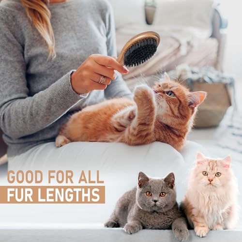 Boar Bristle Cat Brush (Black Boar Bristle)