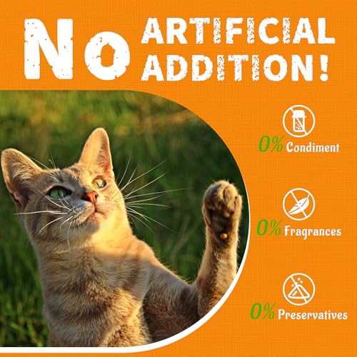 36 OZ Pumpkin Cat Treats Salmon for Digestive Health (2.25 Pound (Pack of 1))