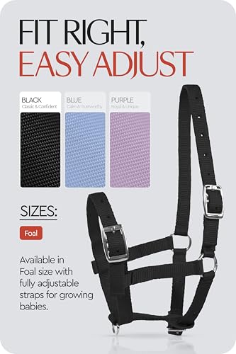Adjustable Mini Horse Halter (Black / Foal)