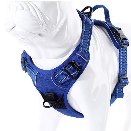 Truelove No Pull Dog Harness with Easy Control Handle and 2 Leash Attachments (X-Large / Royal Blue)