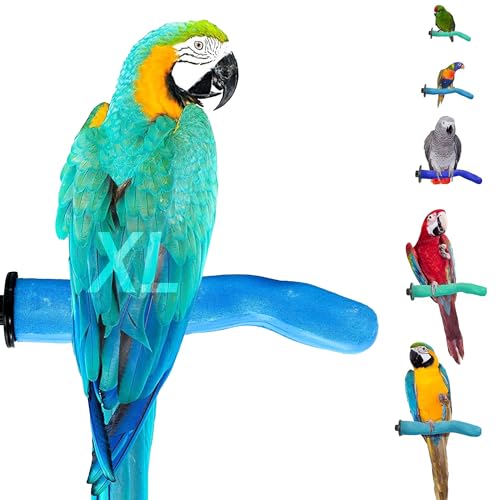 Safety Pumice Bird Perch (Blue / X-Large 14")