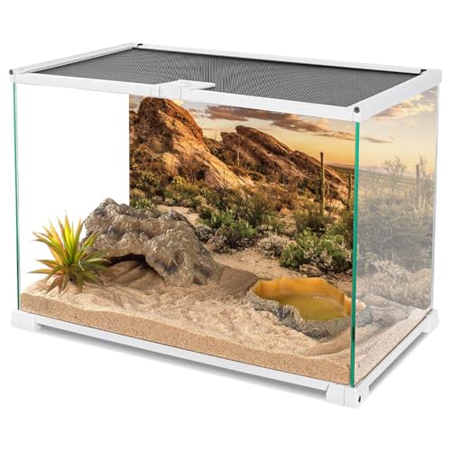 36x24 in Desert Reptile Habitat Backdrop Oasis Cactus Terrarium Background (36x24 inches)