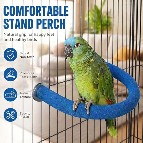 U Shaped Large Parrot Perch (Large / Blue)